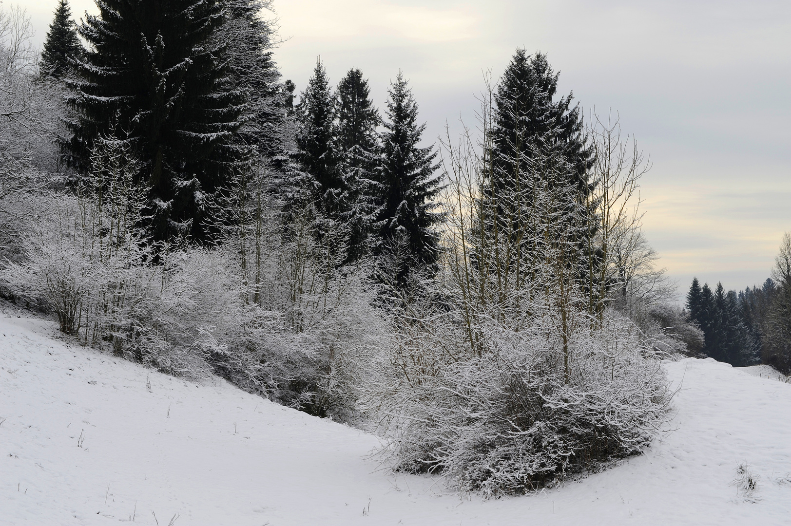 Trüber Wintertag