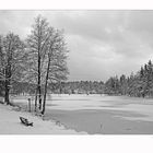 Trüber Wintertag am Rothauer See