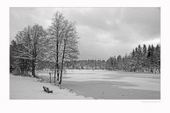 Trüber Wintertag am Rothauer See