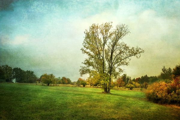 trübes Ausflugswetter ... ?