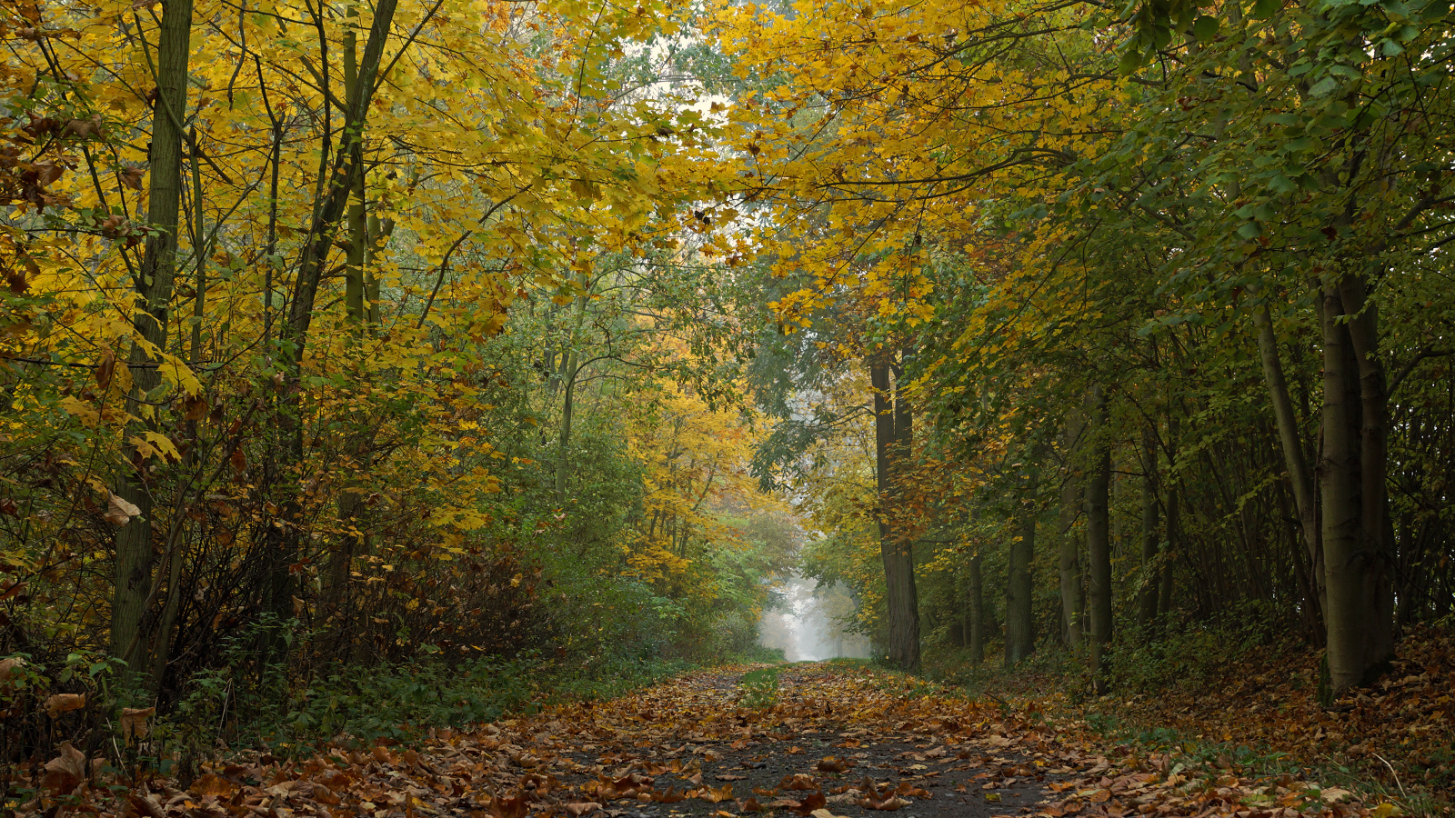 - trübes Herbstwetter -