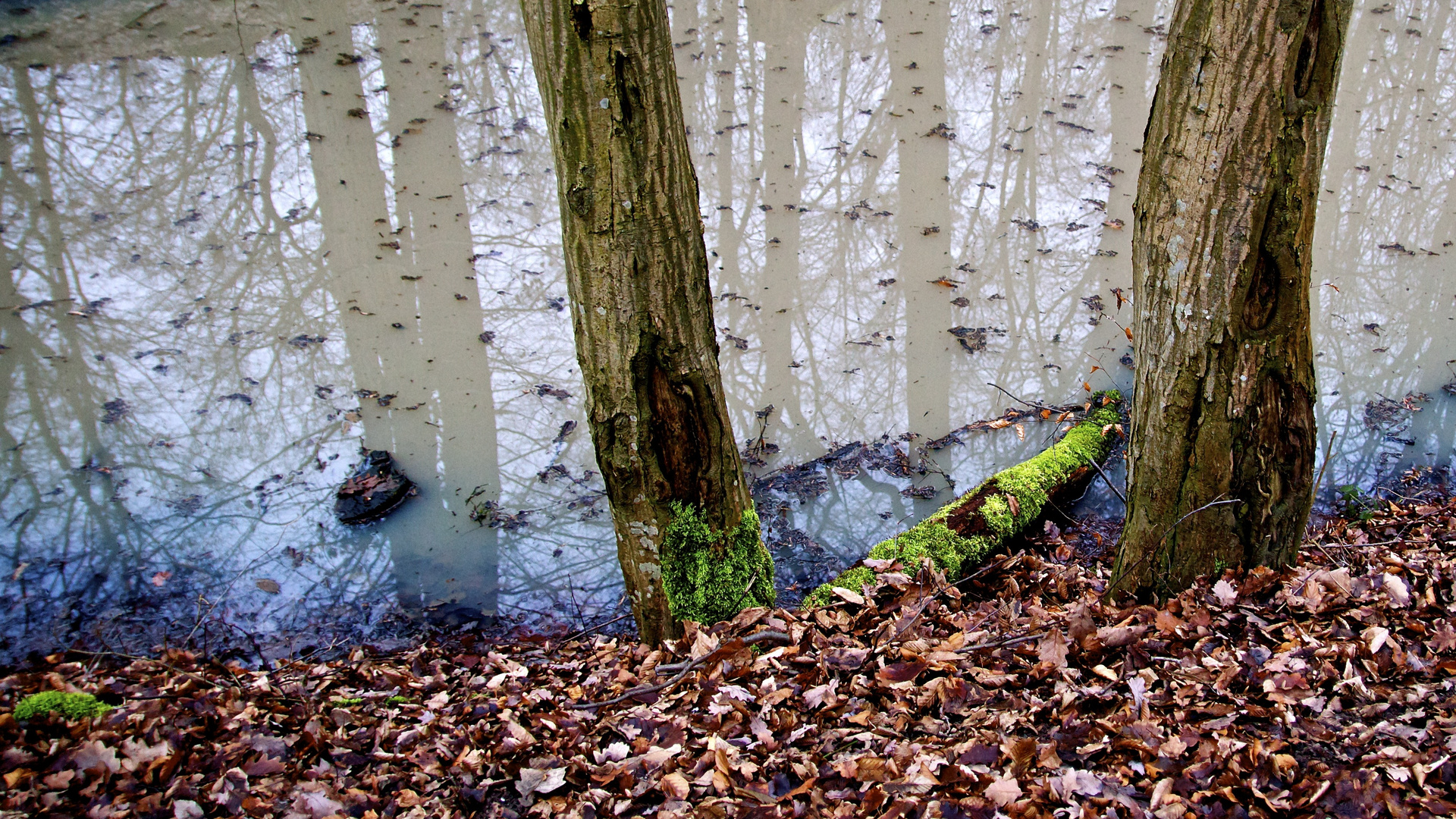 Trübes Wasser