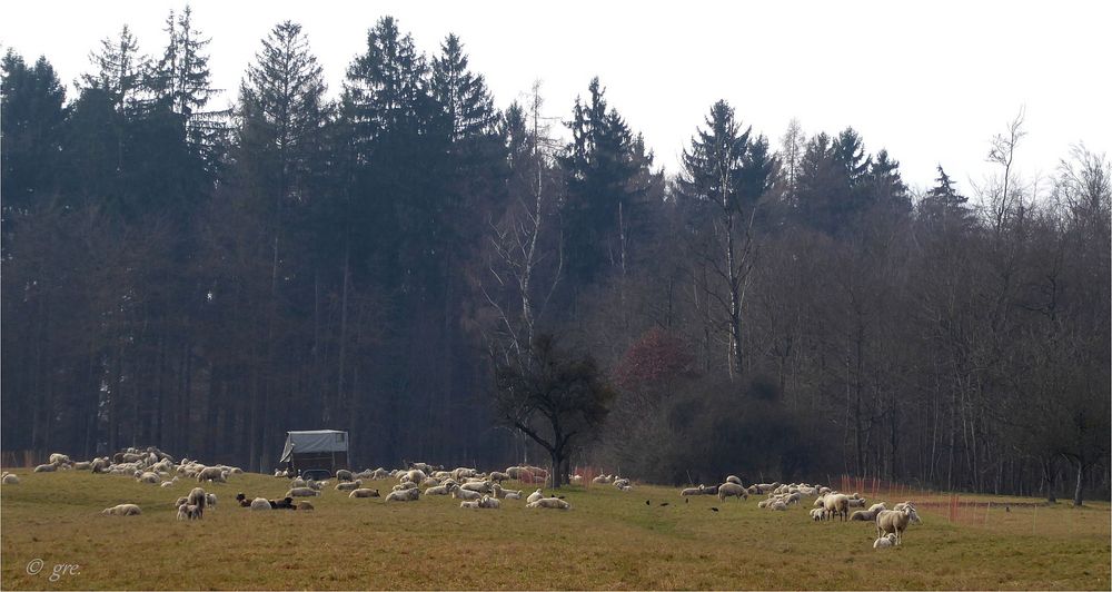 trübes Wetter