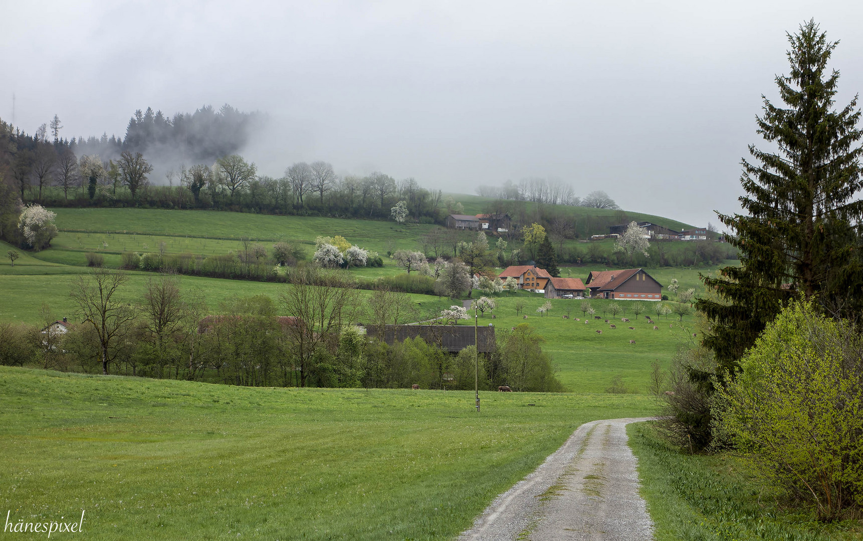 Trübes Wetter