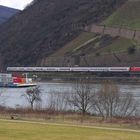 Trübes Wetter im Rheintal