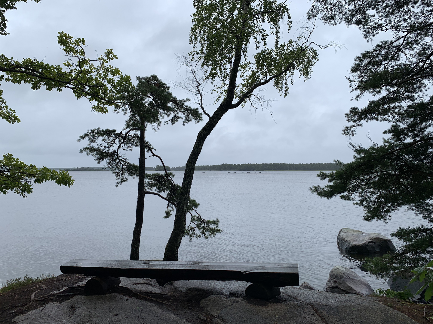 Trübes Wetter im Åsnens Nationalpark...