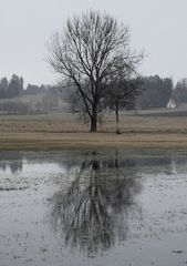 "Trübnis am Morgen mit Wasserspiegelung"