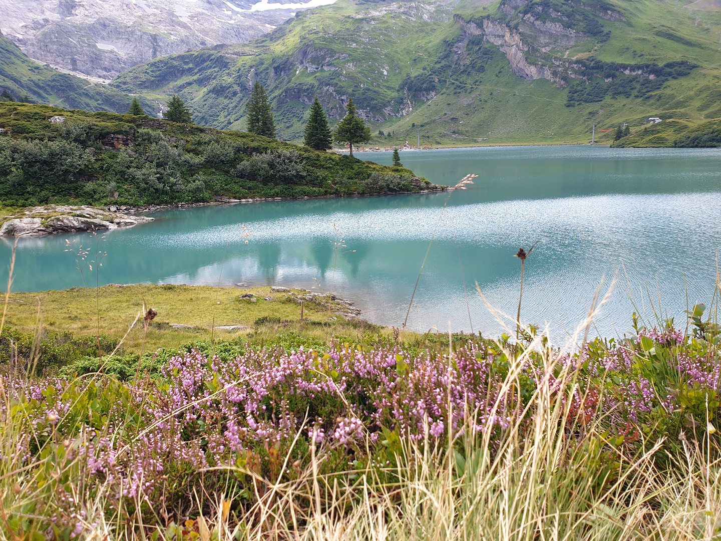 Trübsee