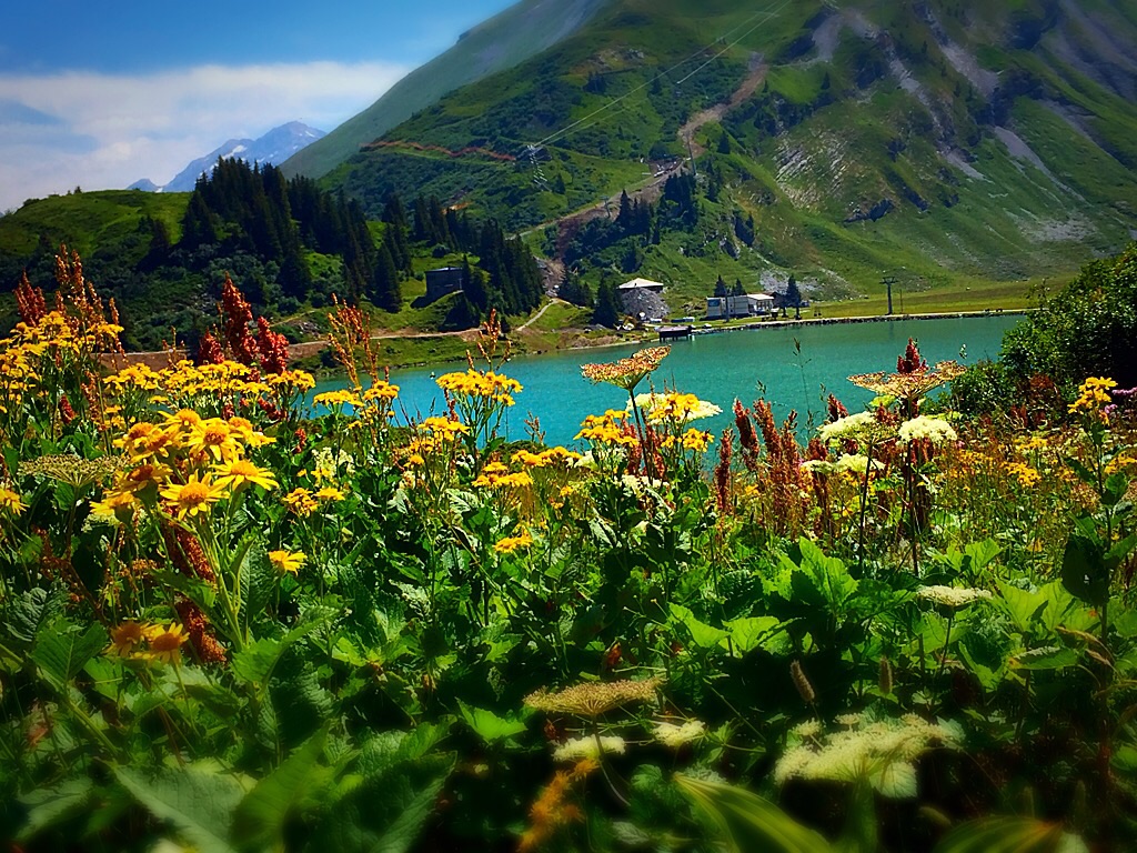 Trübsee