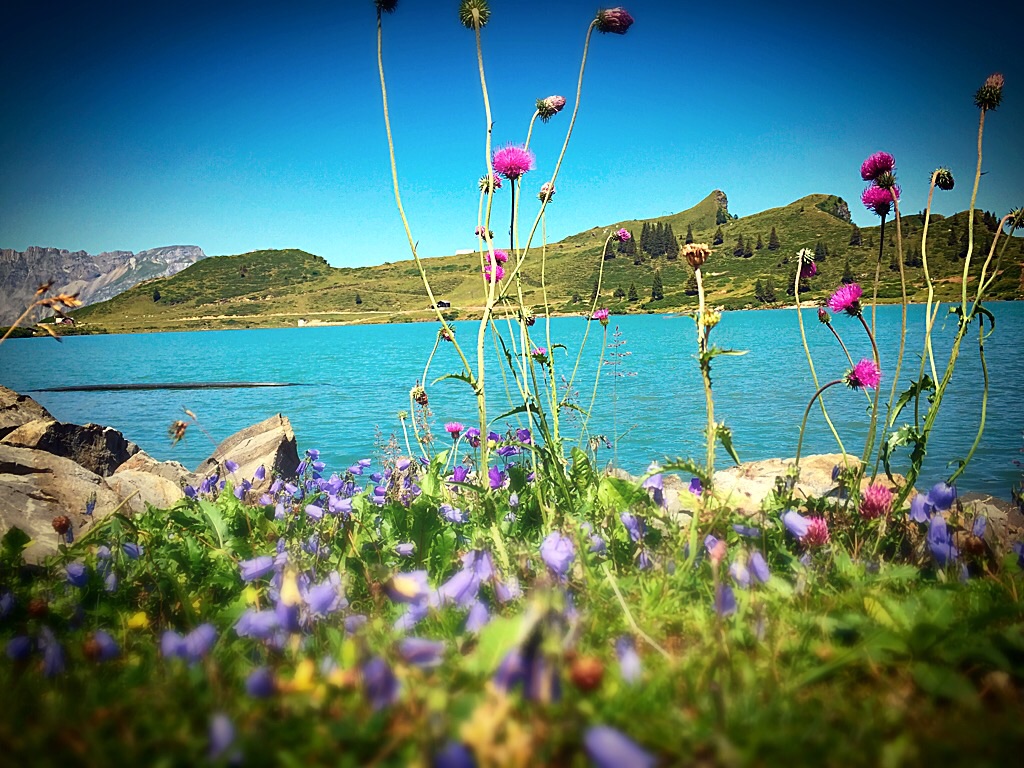 Trübsee