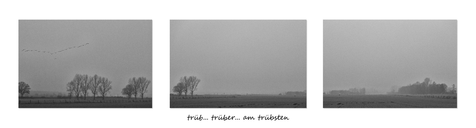 trüb...trüber...am trübsten...