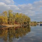 (Trügerische) Herbststimmung in der Kandel 02