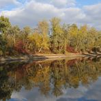 (Trügerische) Herbststimmung in der Kandel 03