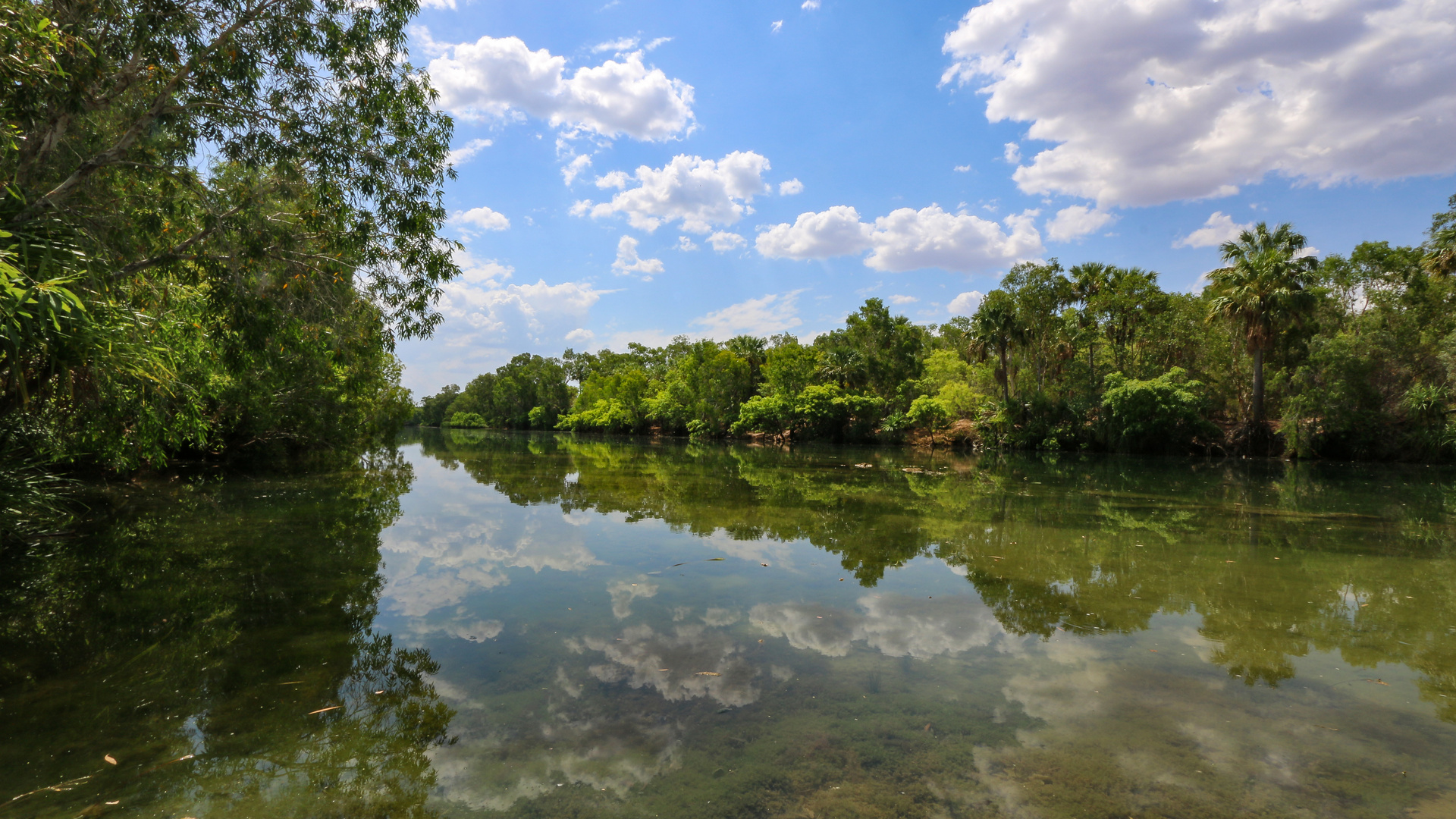 trügerisches Idyll.....