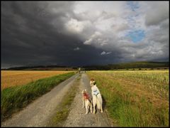 Trügerisches Wetter