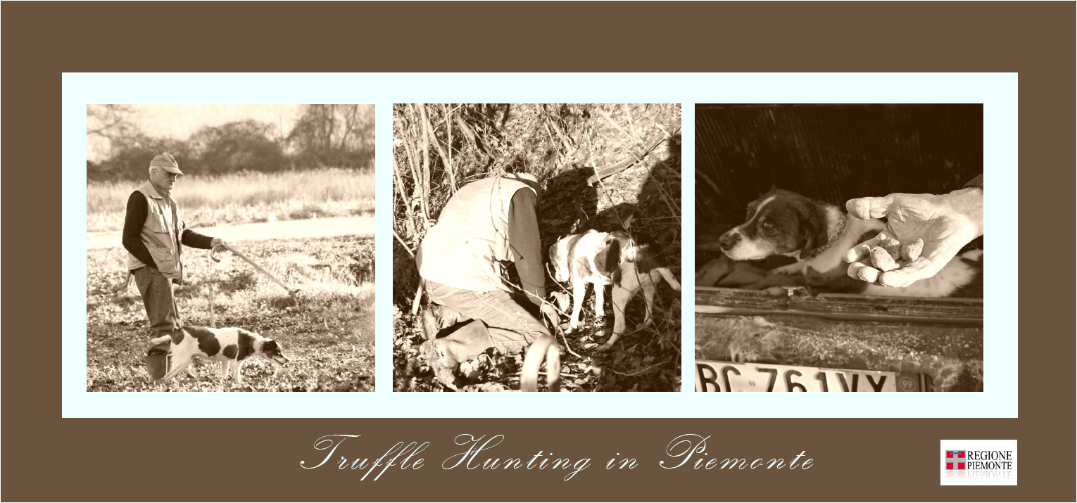 Truffle Hunting in Piemonte