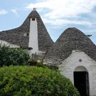 TRULLI IN ALBEROBELLO