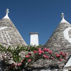 Trulli in Apulien 2