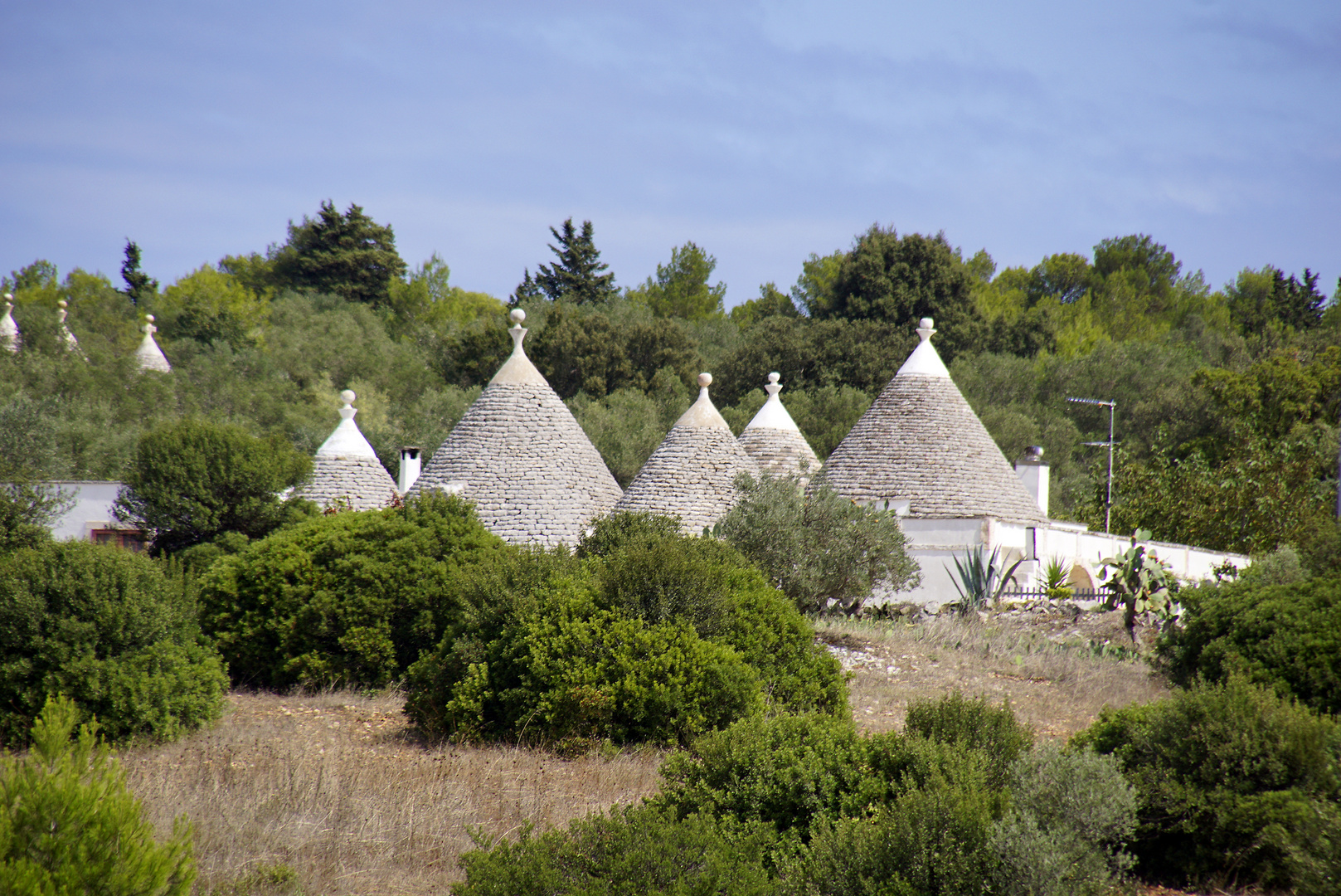 Trulli in der Landschaft nahe Cisternino