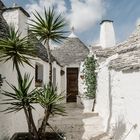 Trullihäuschen in Alberobello, Italien, Ein Roatrip 2023