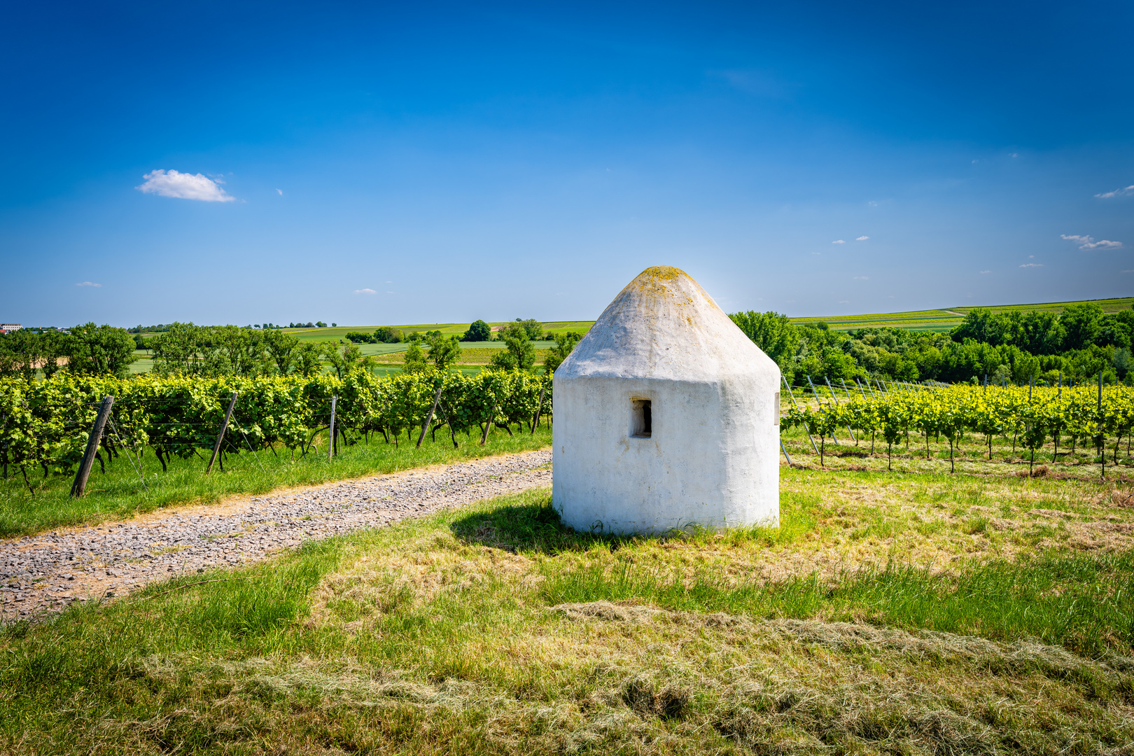 Trullo am Wingertsberg 79