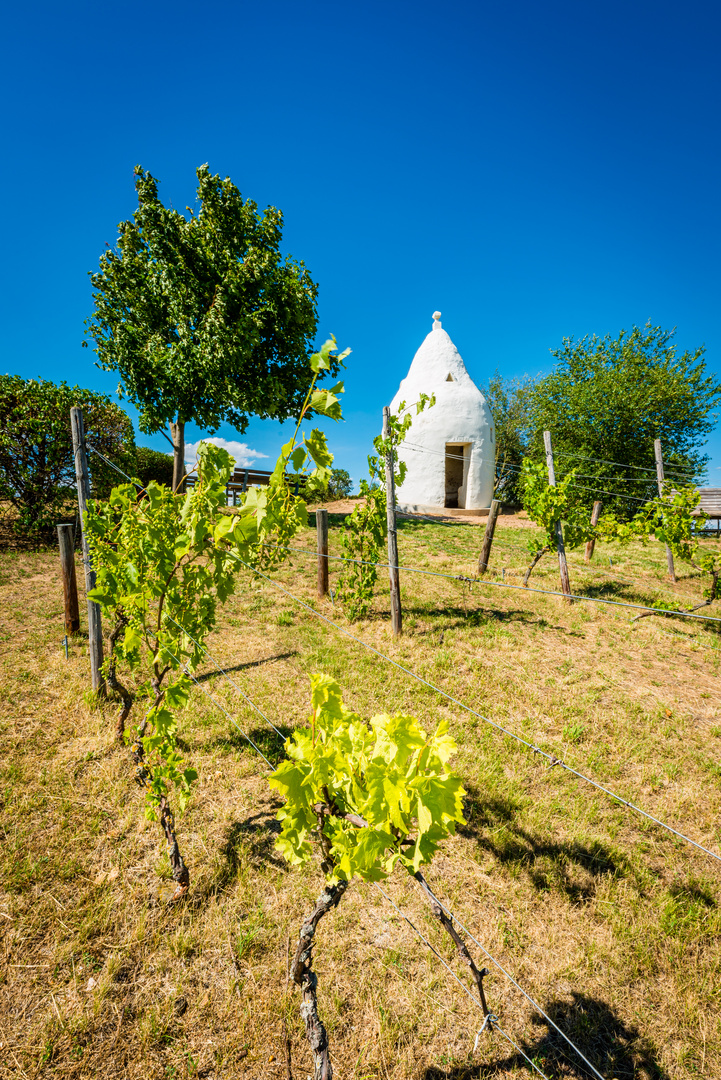 Trullo auf dem Adelberg 87