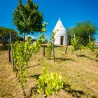 Trullo auf dem Adelberg 87