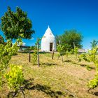 Trullo auf dem Adelberg 92