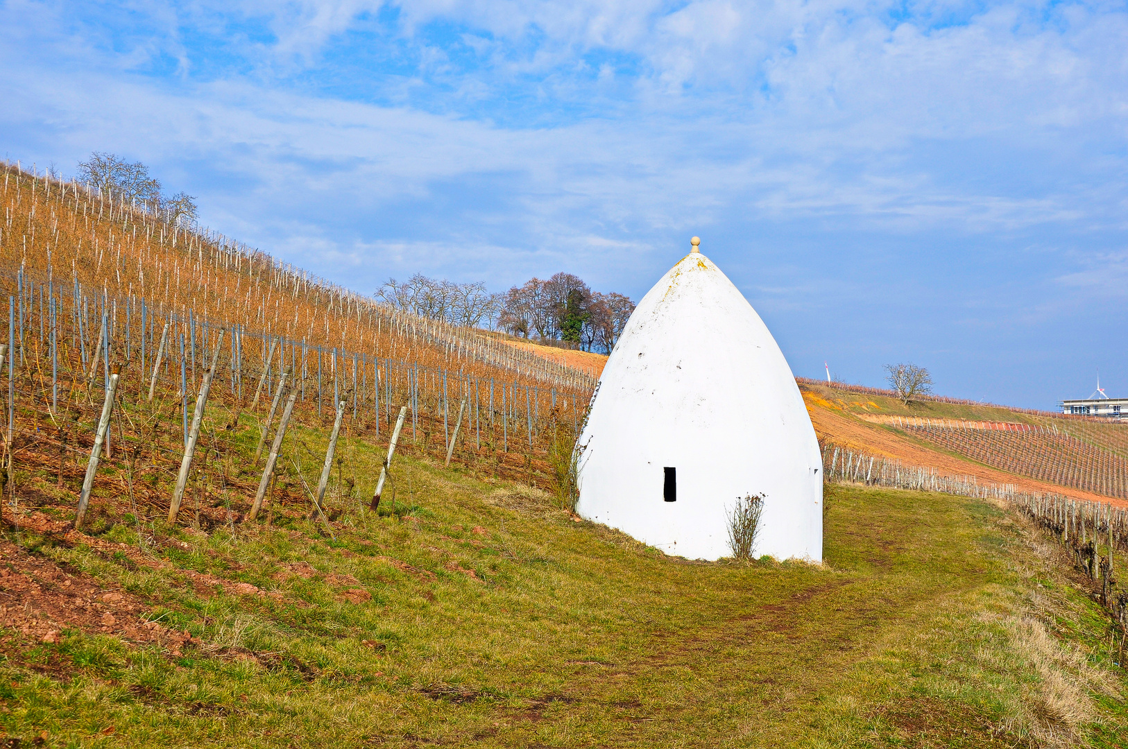 Trullo im Weinberg