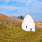 Trullo im Weinberg