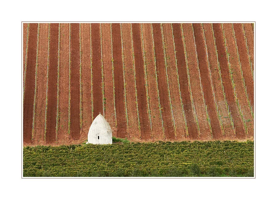 Trullo Tapete aus Rheinhessen