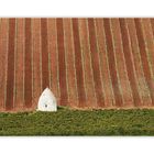 Trullo Tapete aus Rheinhessen