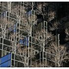 Trump Tower NY Spiegelungen