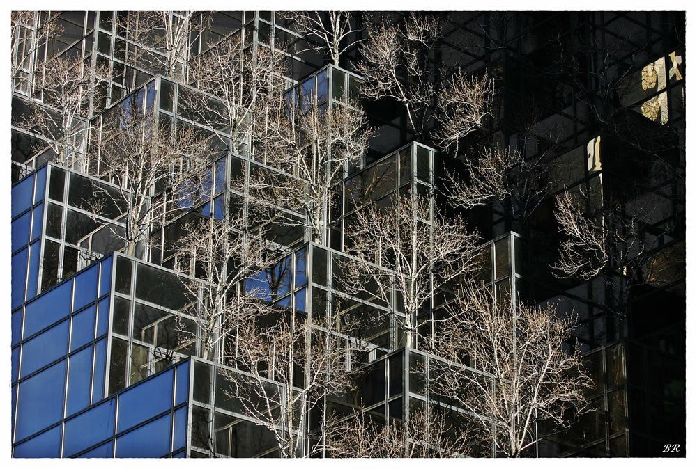 Trump Tower NY Spiegelungen