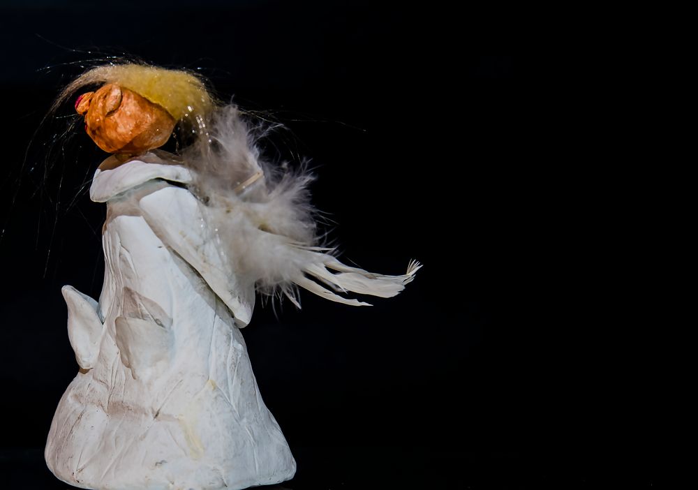 Trumpelengel Donald