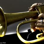 Trumpet