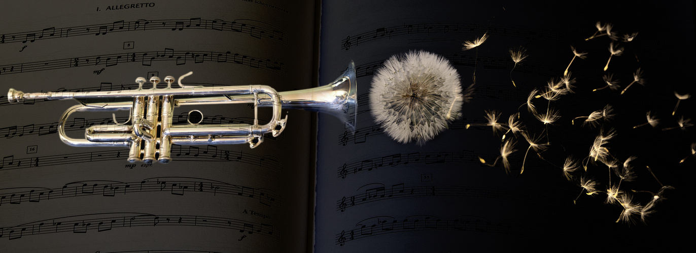 Trumpet, breath and dandelion