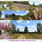 Trupbacher Heide 2019