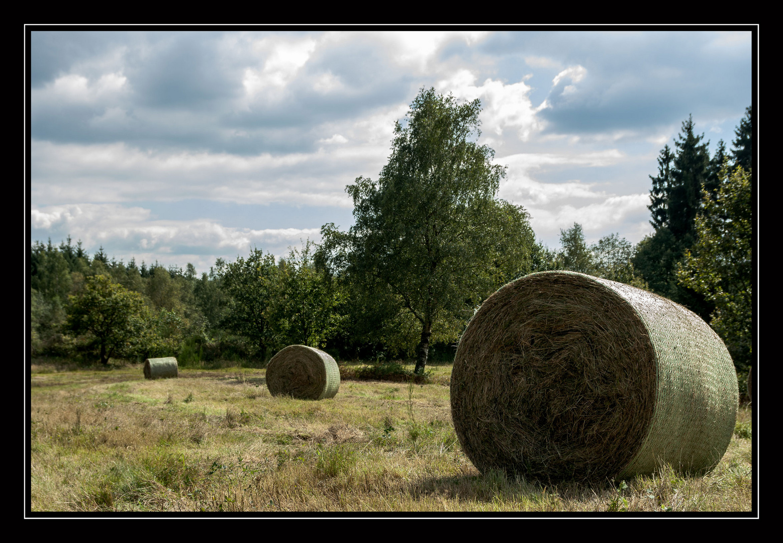 Trupbacher Heide