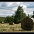 Trupbacher Heide