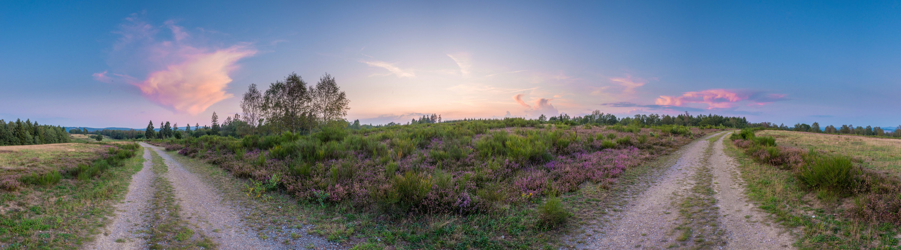 Trupbacher Heide Abend Pano