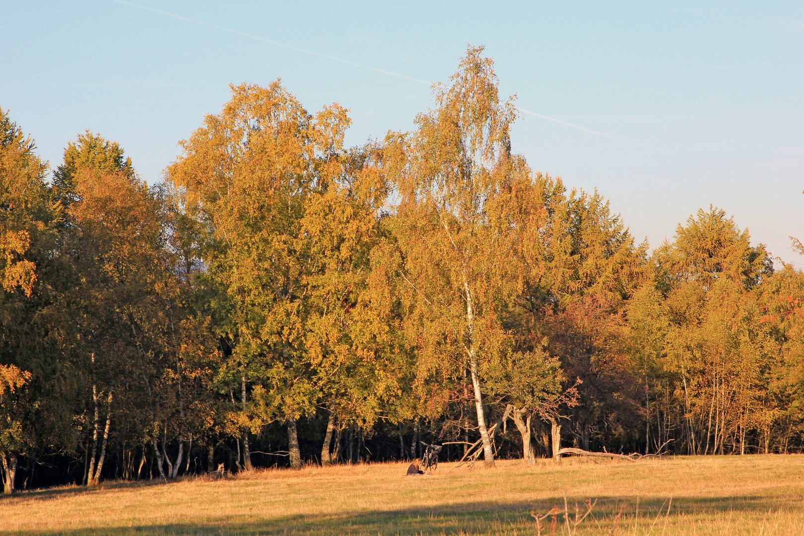 Trupbacher Heide bei Siegen-Trupbach 11 (ehemaliger Truppenübungsplatz). Kurze Rast.