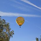 Trupbacher Heide bei Siegen-Trupbach 14 (ehemaliger Truppenübungsplatz). Der Ballon.