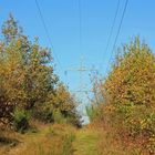 Trupbacher Heide bei Siegen-Trupbach 2 (ehemaliger Truppenübungsplatz)