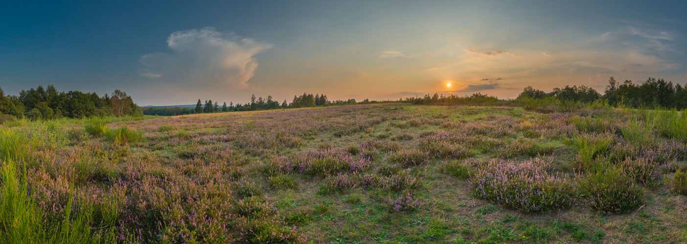 Trupbacher Heide Pano