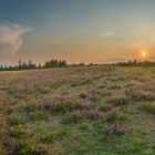 Trupbacher Heide Pano