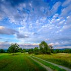 Trupbacher Heidehimmel