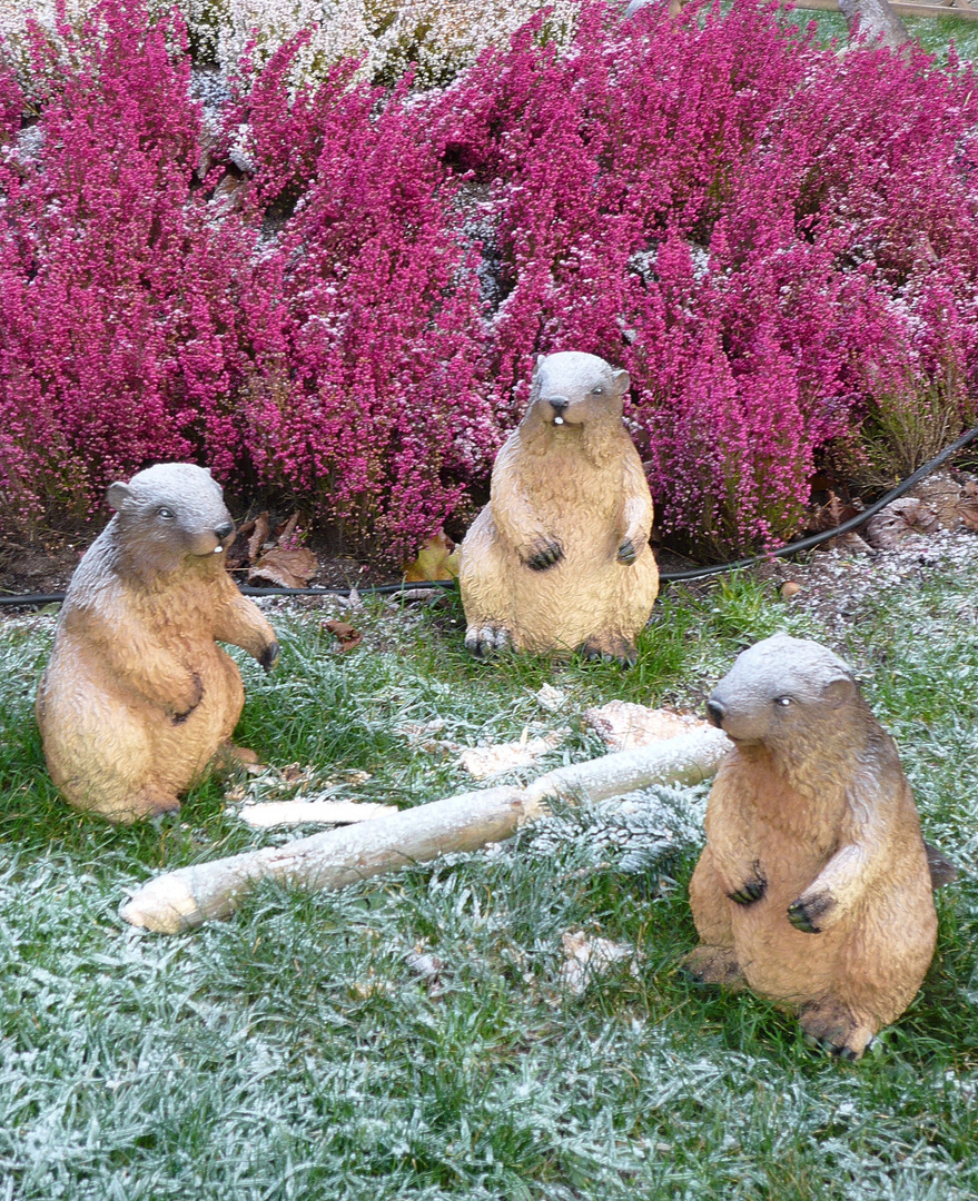 Truppe B. beim Holzklau