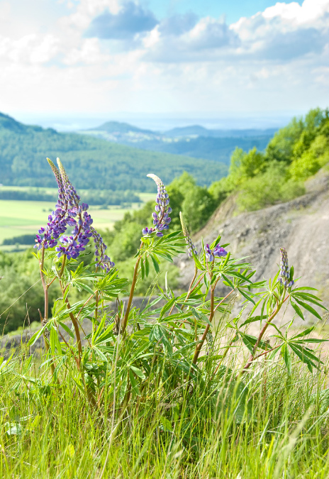 Truppenübungsplatz Wildflecken - Herliche Aussicht