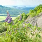 Truppenübungsplatz Wildflecken - Herliche Aussicht